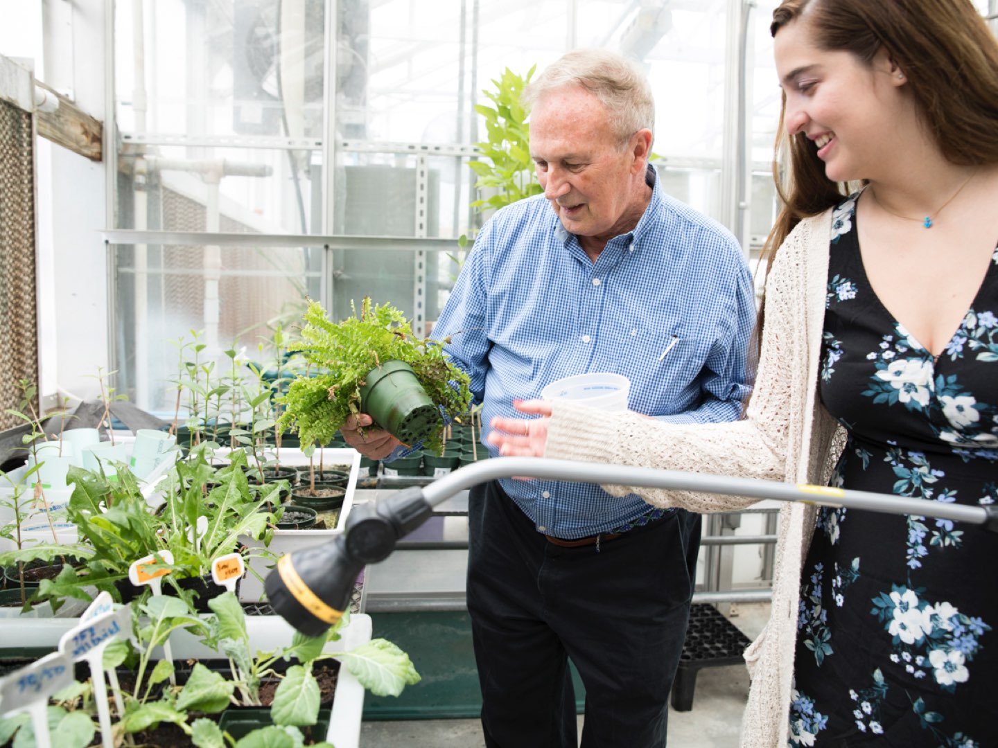 Edward Guinan and Giannina Guzman water plants.