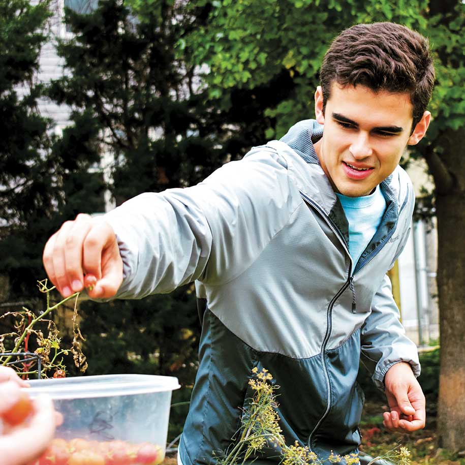Collage of images of students, faculty and staff working at various service sites on spring break