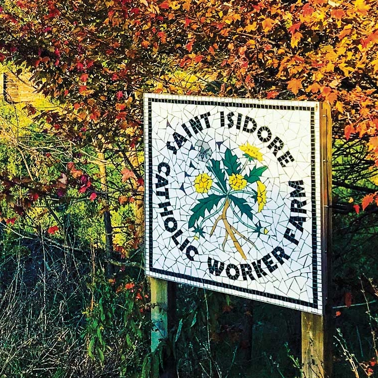 Collage of images of students, faculty and staff working at various service sites on spring break