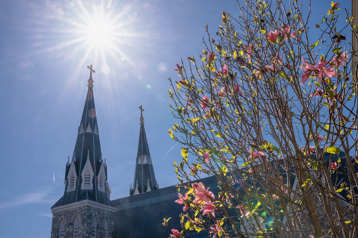 Villanova University’s Office for Sustainability to Host 2024 International Sustainability Conference Villanova University’s Office for Sustainability to Host 2024 International Sustainability Conference