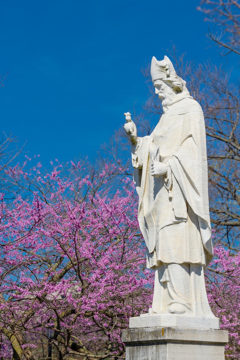 CSP552_20220420_0216 CSP552_20220420_0216