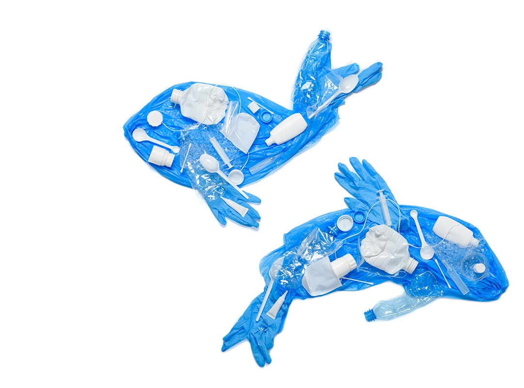 White and blue single-use plastics are used to make the shape of a dolphin and whale.